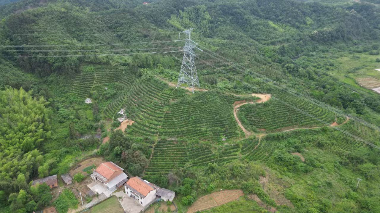 陡岭洞茶叶基地