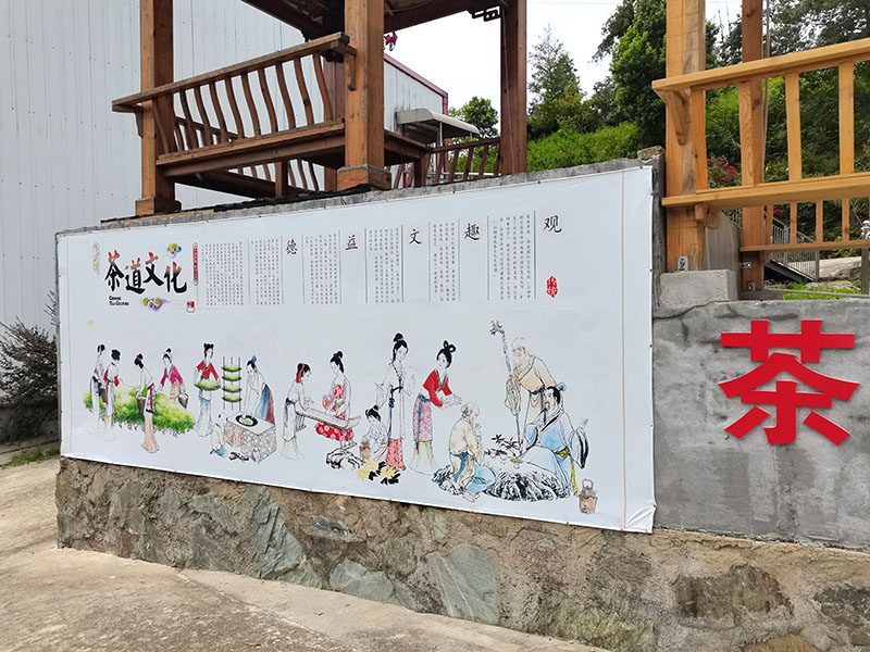 陡岭洞茶叶基地展示