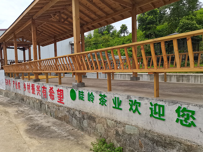陡岭洞茶叶基地展示