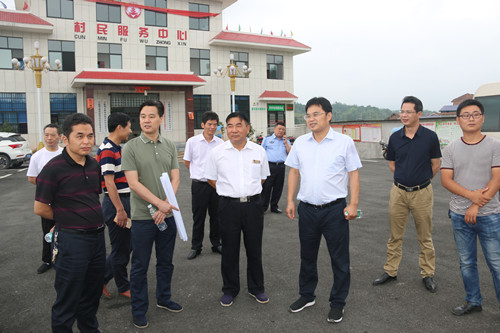 李美云到桃林镇调研精准扶贫与重点项目建设工作